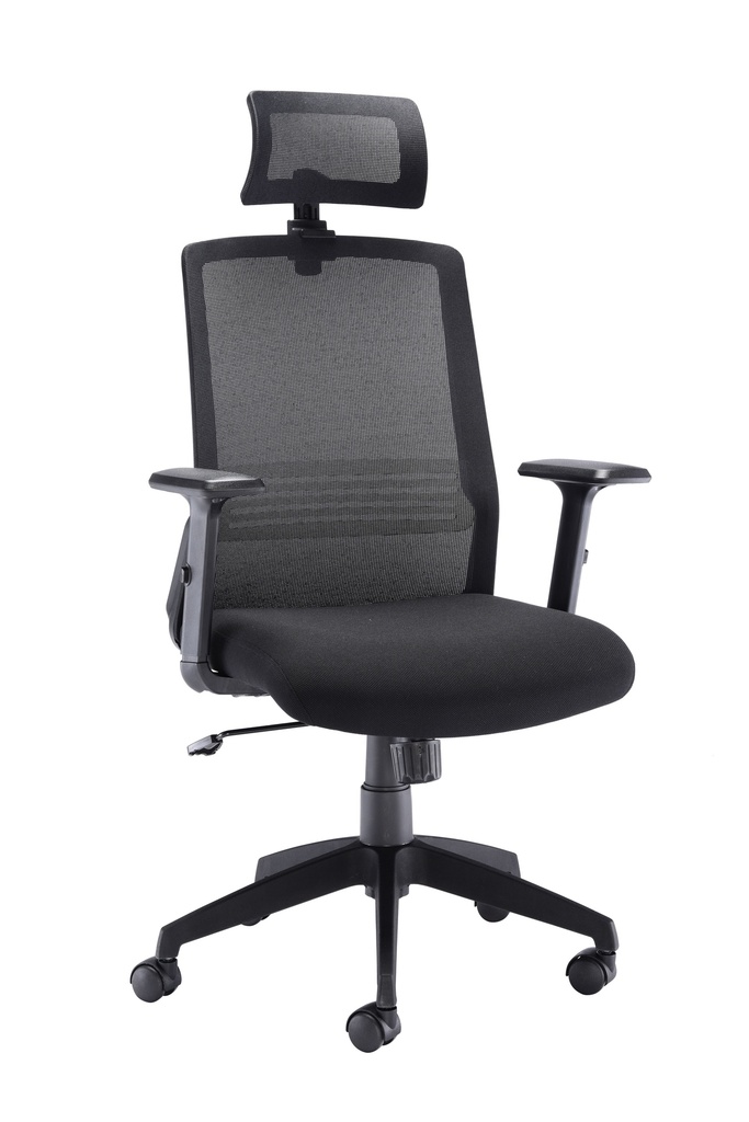 Denali High-Back Office Chair with Headrest