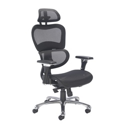 [CH1910] Chachi Ergonomic Office Chair